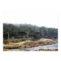 Cyprus Point on the Monterey Peninsula posters by frogsbug Cyprus Point on the Monterey Peninsula posters
