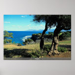 Cyprus Print
