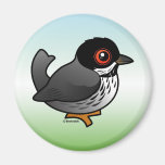 Cyprus Warbler Magnets