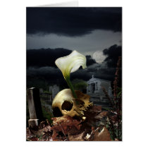 Cyrcle of Life cards
