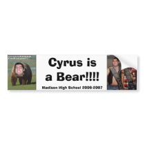 Cyrus is a Bear Bumper Sticker bumper stickers by basegiants Cyrus is a Bear Bumper Sticker bumper stickers