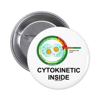 Cytokinetic Inside (Cytoplasm Division Mitosis) Pinback Button