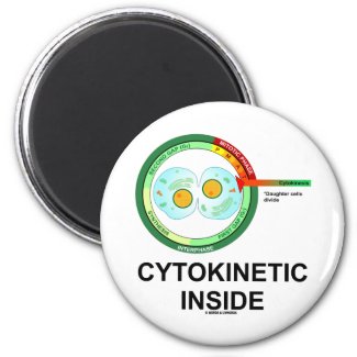 Cytokinetic Inside (Cytoplasm Division Mitosis) Refrigerator Magnet