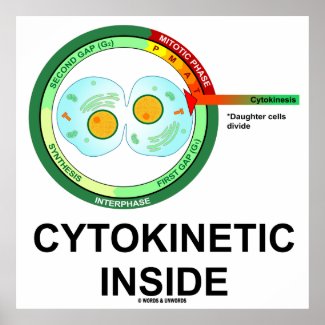 Cytokinetic Inside (Cytoplasm Division Mitosis) Poster