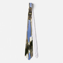 Czech Alley Mirrored Neckwear