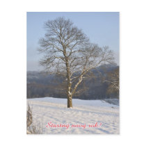 Czech Happy New Year postcard