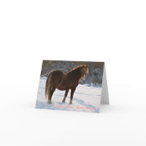 Czech, Horse in the snow christmas card
