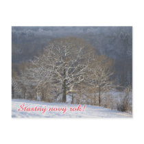 Czech New Year postcard