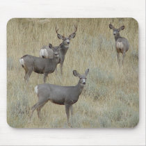 D0018 Mule Deer mouse pad