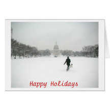 D.C. Holiday Card