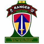 D Co, 151st Infantry Regiment, Vietnam Cut Outs