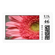 d postage