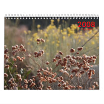 D. R, Prato photo calendar