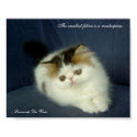 Da Vinci Cat Feline is a Masterpiece Quote Print by jesterbryanc Da Vinci Cat Feline is a Masterpiece Quote Print