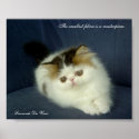 Da Vinci Cat Feline is a Masterpiece Quote Print