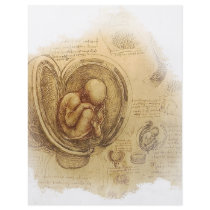 da Vinci - Embryo Sketch flyers
