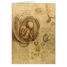 da Vinci - Embryo Sketch Greeting Card