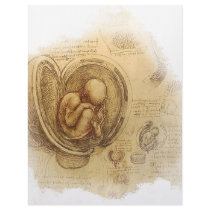 da Vinci - Embryo Sketch Personalized Letterhead