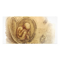 da Vinci - Embryo Sketch photo cards by RisingDesign da Vinci - Embryo Sketch photo cards
