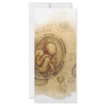 da Vinci - Embryo Sketch Rack Card Design