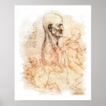da Vinci - Man and Horse posters