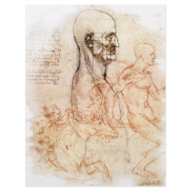 da Vinci -- Man and Horse Sketch Flyer Design