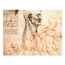 da Vinci -- Man and Horse Sketch Personalized Invitations