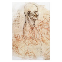 da Vinci -- Man and Horse Sketch stationery by RisingDesign da Vinci -- Man and Horse Sketch stationery