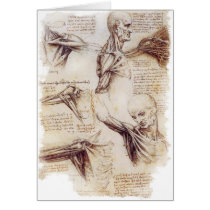 da Vinci -- Shoulder Sketch Greeting Cards