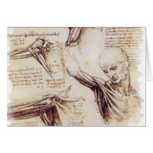 da Vinci -- Shoulder Sketch Card