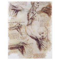 da Vinci -- Shoulder Sketch Personalized Flyer