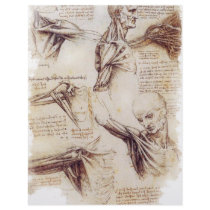 da Vinci -- Shoulder Sketch letterhead by RisingDesign da Vinci -- Shoulder Sketch letterhead