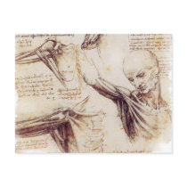 da Vinci -- Shoulder Sketch Post Cards