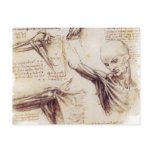 da Vinci -- Shoulder Sketch Post Cards
