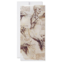 da Vinci -- Shoulder Sketch rack cards