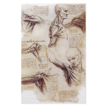 da Vinci -- Shoulder Sketch Customized Stationery