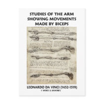 da Vinci Studies Of The Arm Movements By Biceps Post Cards