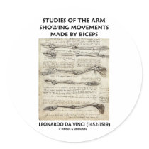 da Vinci Studies Of The Arm Movements By Biceps Round Stickers