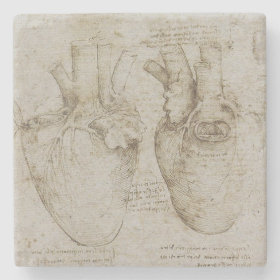 Da Vinci's Human Heart Anatomy Stone Coaster