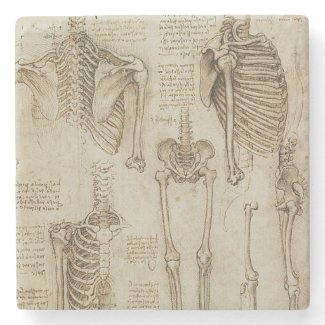 Da Vinci's Human Skeleton Anatomy Sketches Stone Coaster