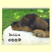 Dachshund 2009 - customizable calendar!