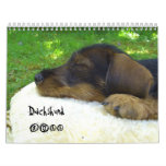 Dachshund 2011 - customizable calendar!