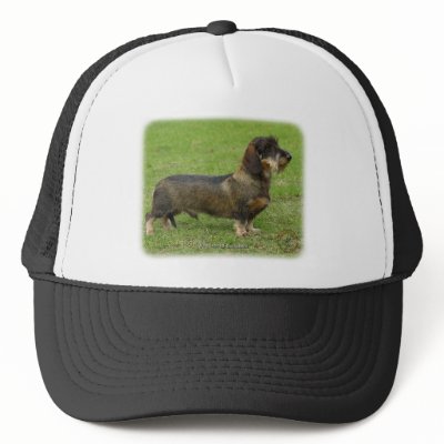 Dachshund 9J063D-06 Mesh Hat by TraffordPhotos