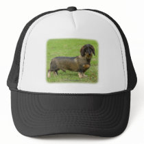 Dachshund 9J063D-07 hats by TraffordPhotos Dachshund 9J063D-07 hats
