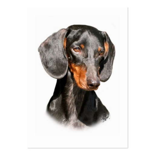 Dachshund 9Y420D-096a Business Cards (front side)