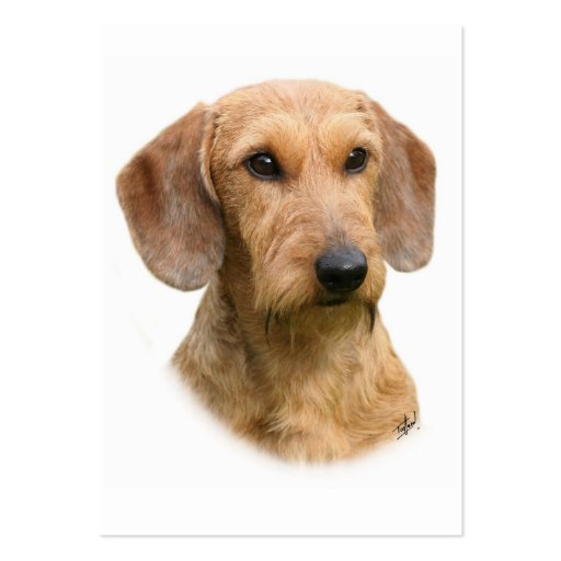 Dachshund 9Y426D-207-2 Business Card Templates (front side)