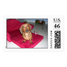 Dachshund adorable sellos