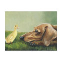 "Dachshund and Duckling" postcards