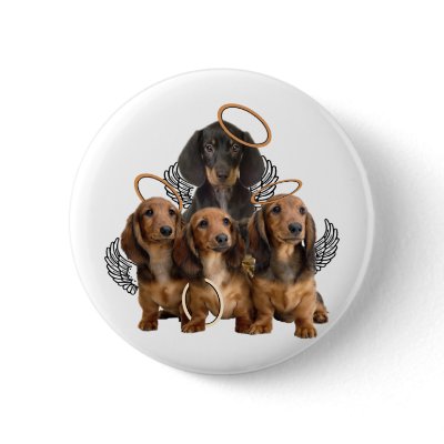 Dachshund angels pins by friskybiz