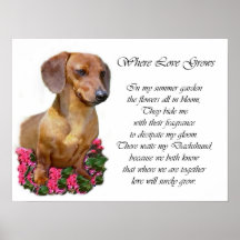 Dachshund Art Print
